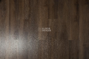 Кварцвиниловые полы Tarkett Funky House MIKE фото 1 | FLOORDEALER